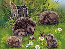 Load image into Gallery viewer, 42308978311374|42308978344142|42308978376910|42308978409678|42308978442446|42308978475214|42308978507982|42308978540750|42308978573518|42308978606286