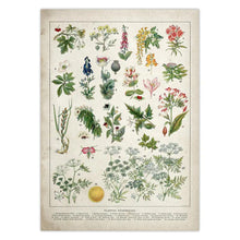 Загрузите изображение в программу просмотра галереи, 42326088974542|42326089040078|42326089105614|42326089203918|42326089269454|42326089302222|42326089334990|42326089367758|42326089400526