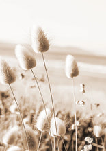 Cargar imagen en el visor de la galería, 42332087025870|42332087091406|42332087156942|42332087222478|42332087288014|42332087353550|42332087386318|42332087451854|42332087517390|42332087582926|42332087746766|42332087812302|42332087877838|42332087943374|42332088008910