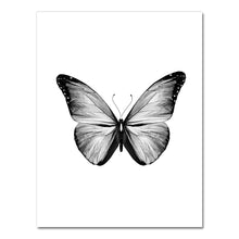 Load image into Gallery viewer, 42301012476110|42301012508878|42301012541646|42301012574414|42301012607182|42301012639950|42301012672718|42301012705486|42301012738254|42301012771022|42301012803790|42301012836558|42301012869326|42301012902094|42301012934862|42301012967630|42301013000398