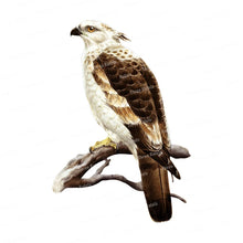 Carica l&#39;immagine nel visualizzatore della Galleria, Three Ratels QCF168 Fierce Eagle adesivo da parete dipinto a mano per la decorazione domestica