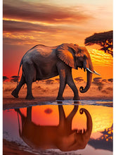 Laden Sie das Bild in den Galerie-Viewer, 42362447593678|42362447626446|42362447659214|42362447691982|42362447724750