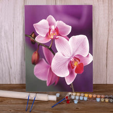 Charger l&#39;image dans la galerie, 42335532318926|42335532351694|42335532384462