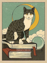 Cargar imagen en el visor de la galería, 42308812964046|42308812996814