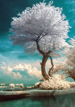 Cargar imagen en el visor de la galería, 42335522160846|42335522226382|42335522324686|42335522390222