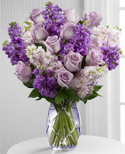 Cargar imagen en el visor de la galería, 42336689586382