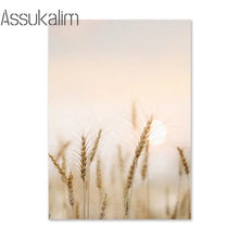 Laden Sie das Bild in den Galerie-Viewer, 42370496659662|42370496692430|42370496725198|42370496757966|42370496790734