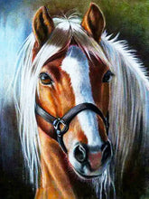 Загрузите изображение в программу просмотра галереи, 42308811391182|42308811423950