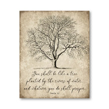 Laden Sie das Bild in den Galerie-Viewer, 42334291361998|42334291394766|42334291427534|42334291460302|42334291493070