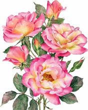 Cargar imagen en el visor de la galería, 42335542051022|42335542083790