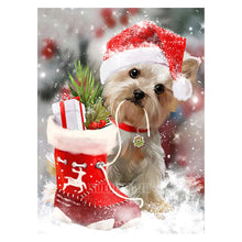 Carica l&#39;immagine nel visualizzatore della Galleria, 42308797333710|42308797366478