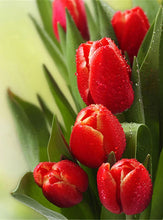 Cargar imagen en el visor de la galería, 42308793139406