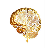 Laden Sie das Bild in den Galerie-Viewer, 42439094829262|42439094862030|42439094894798|42439094993102|42439095025870|42439095058638