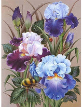 Cargar imagen en el visor de la galería, 42335546212558