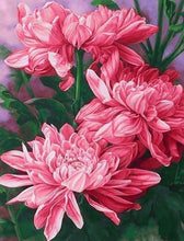 Cargar imagen en el visor de la galería, 42335546474702