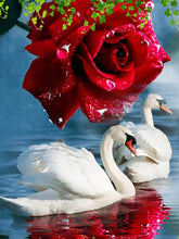 Cargar imagen en el visor de la galería, 42308792942798