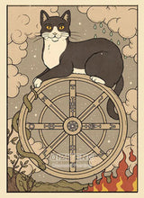 Cargar imagen en el visor de la galería, 42308813029582|42308813062350