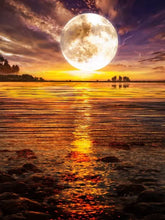 Cargar imagen en el visor de la galería, 42335517671630|42335517737166|42335517835470|42335517901006