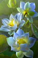 Laden Sie das Bild in den Galerie-Viewer, 42334277107918