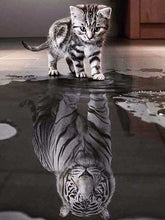 Load image into Gallery viewer, 42308766990542|42308767023310|42308767056078|42308767088846|42308767121614