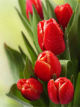 Cargar imagen en el visor de la galería, 42336670449870|42336670482638