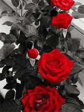 Charger l&#39;image dans la galerie, 42336686997710|42336687096014