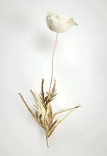 Laden Sie das Bild in den Galerie-Viewer, 42308882792654|42308882825422|42308882858190|42308882890958|42308882923726|42308882956494|42308882989262|42308883022030|42308883054798