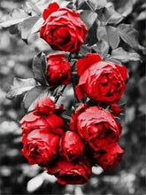 Charger l&#39;image dans la galerie, 42336687194318|42336687259854