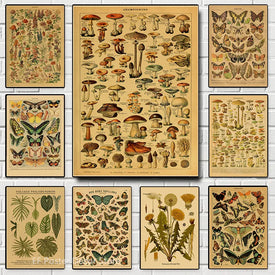 Ботанические художественные принты, постер в стиле ретро с грибами, животное/цветок/растение/лист/бабочка, учебная картина, винтажная кабинетная комната, домашний декор стен