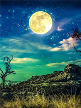 Carica l&#39;immagine nel visualizzatore della Galleria, 42336671105230|42336671137998