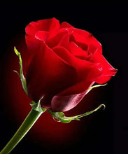 Charger l&#39;image dans la galerie, 42336688275662|42336688373966