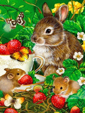 Cargar imagen en el visor de la galería, 42335541133518|42335541166286