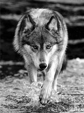 Cargar imagen en el visor de la galería, 42335541723342|42335541756110