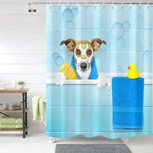 Cargar imagen en el visor de la galería, 42351486435534|42351486468302|42351486501070|42351486533838