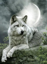 Cargar imagen en el visor de la galería, 42335541592270|42335541625038