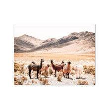 Load image into Gallery viewer, 42334268195022|42334268227790|42334268260558|42334268293326|42334268326094