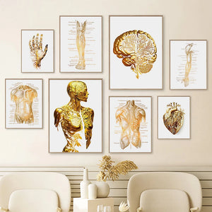 Abstract Organ Anatomy Human Heart Brain Hand Body In Gold Poster Canvas Print Wall Art  Painting Living Room Home Decoration
