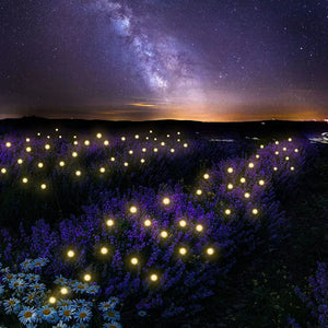 Outdoor Led Solar Firefly Lichter Wind Wiegenden Lichter Wasserdicht IPX6 Rasen Landschaft Weihnachten Decor Nacht Beleuchtung 6led