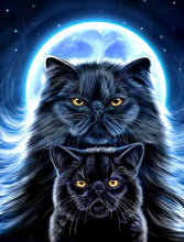 Laden Sie das Bild in den Galerie-Viewer, 42308831838414|42308831871182