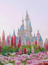 Laden Sie das Bild in den Galerie-Viewer, 42308814536910|42308814569678|42308814602446|42308814635214