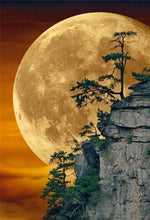 Carica l&#39;immagine nel visualizzatore della Galleria, 42336671039694|42336671072462