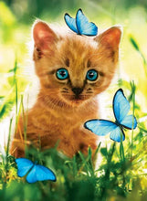 Cargar imagen en el visor de la galería, 42335541919950|42335541952718