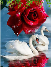 Cargar imagen en el visor de la galería, 42335546671310