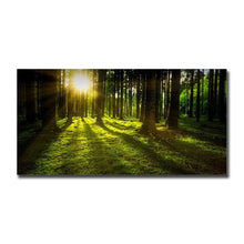 Load image into Gallery viewer, 42301006708942|42301006741710|42301006774478|42301006807246|42301006840014|42301006872782