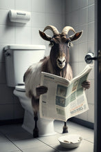 Cargar imagen en el visor de la galería, 42308761649358|42308761682126|42308761714894