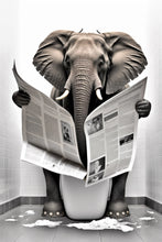 Cargar imagen en el visor de la galería, 42308759912654|42308759945422|42308760010958