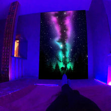 Cargar imagen en el visor de la galería, 42324664484046|42324664549582|42324664680654