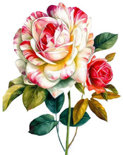 Cargar imagen en el visor de la galería, 42335542182094|42335542214862