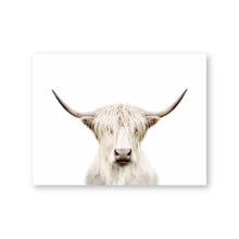 Charger l&#39;image dans la galerie, 42326074917070|42326074949838|42326074982606|42326075015374|42326075048142|42326075080910|42326075113678|42326075146446|42326075179214|42326075211982|42326075244750