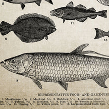 Cargar imagen en el visor de la galería, Póster Artístico en lienzo para pared de pesca con caña, pintura de razas de peces, imagen de pared de peces de agua dulce, regalo de pescador, decoración de cueva para hombre